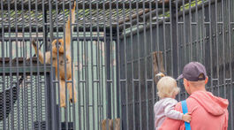 ZOO, zoologická záhrada,