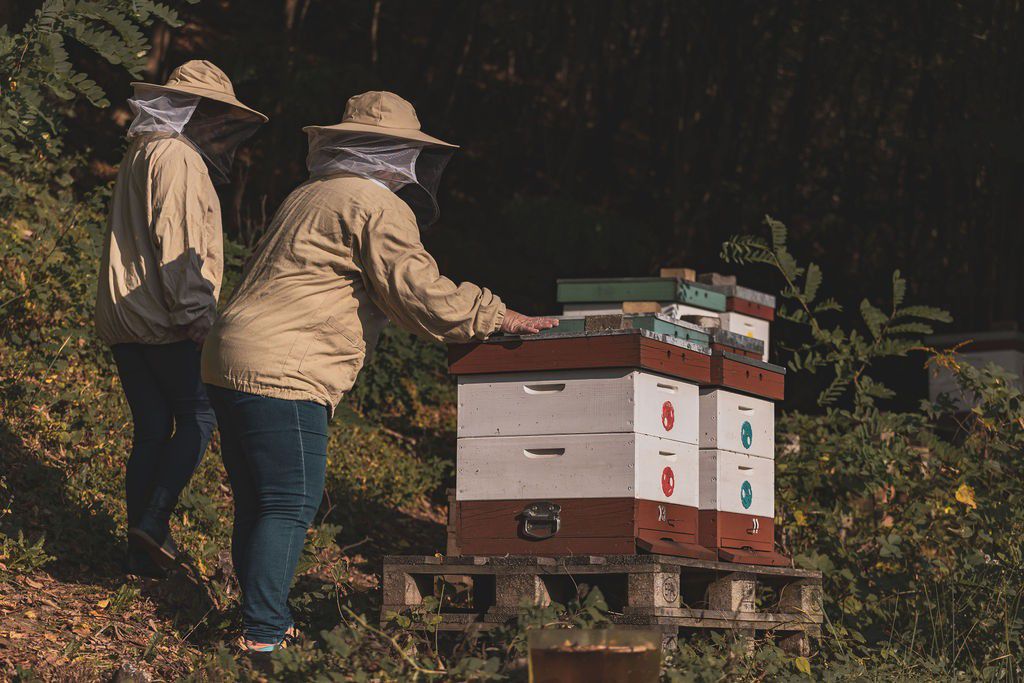 Projekt Učíme sa od včiel III. rozbehol...