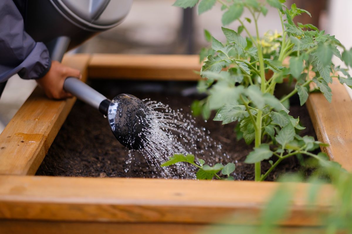 Deti učíme spoznávať nové bylinky, kompostovať,...