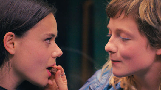 Film Cudzí jazyk sleduje Fanny, 17-ročnú...