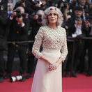 France Cannes 2025 Awards Ceremony Red Carpet