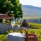 víno, vinárstvo, vinica, pohár