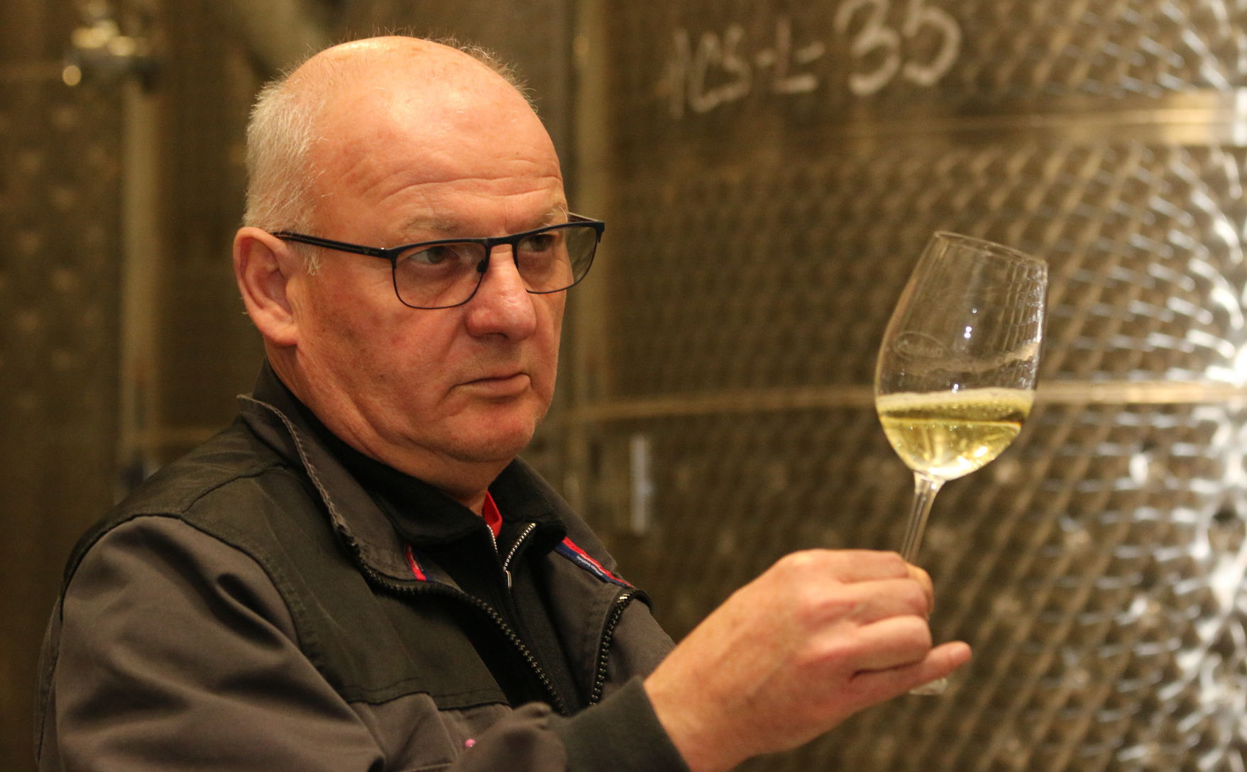 Alfred Havlas hovorí, že v dobrom víne sa odzrkadľuje terroir vinohradu.