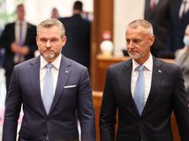 pellegrini, raši