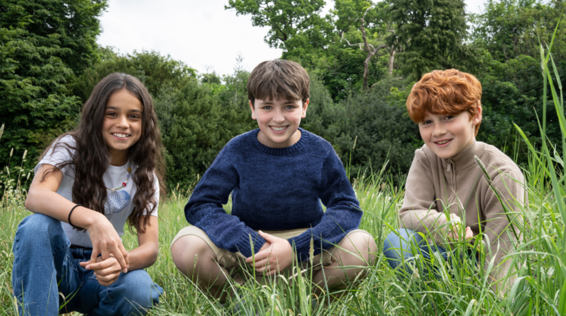 Zlate trio Harry Potter