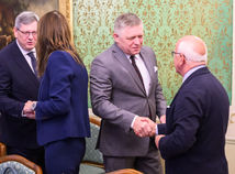 Fico europoslanci misia susko