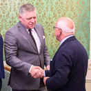 Fico europoslanci misia susko