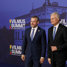 Litva B9 SR NATO summit Vilnius Nauséda Pellegrini uarus
