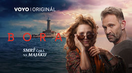 Bora vizual