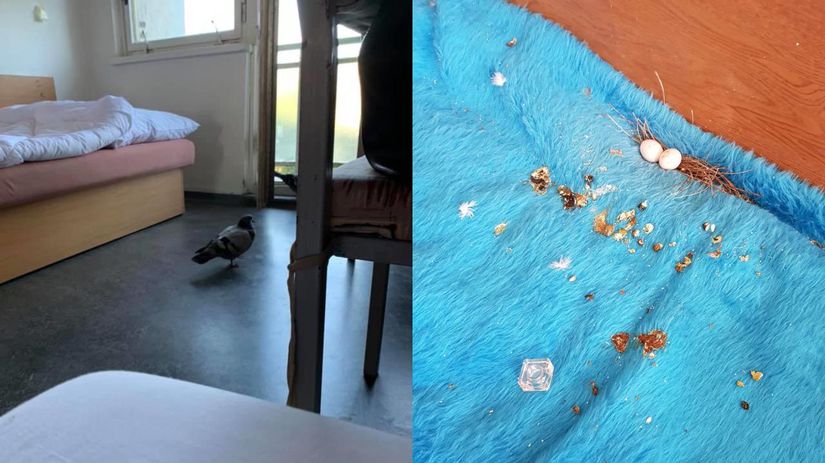 Ešte pred pár rokmi vyzeral interiér a exteriér...