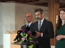 hargas  holeckova  caucik
