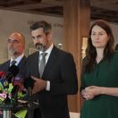 hargas holeckova caucik