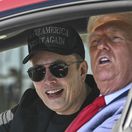 Elon Musk / Donald Trump /