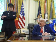 Elon Musk, Donald Trump