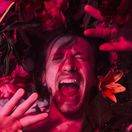 psychedelický, vidiny, psychický, nočná mora, halucinácie