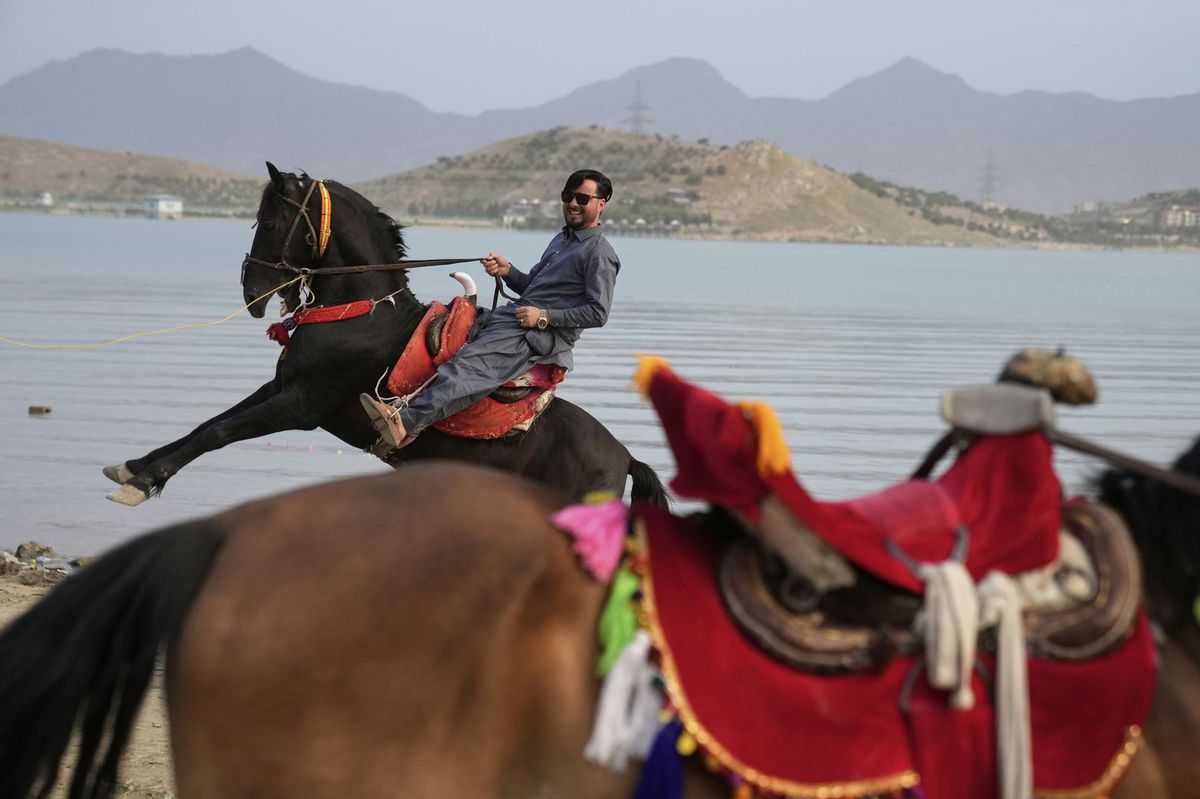 Afganistan, kôň
