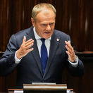 tusk