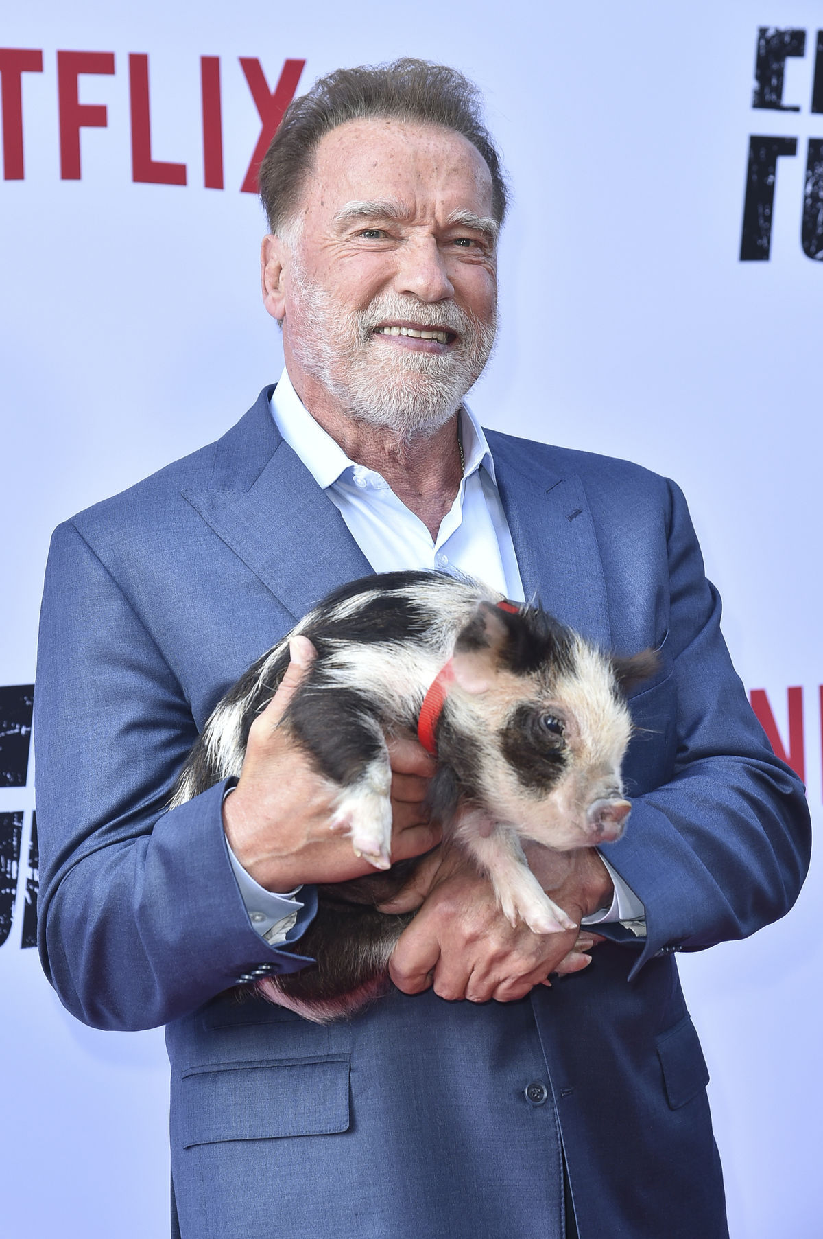 Arnold Schwarzenegger