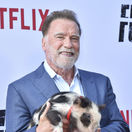 Pár dní po narodeninách poriadne nepríjemná správa! Arnie Schwarzenegger skončil, naozaj mu toto spravili?