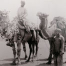 Cameleers Moosha a Guzzie Balooch, Alice Springs