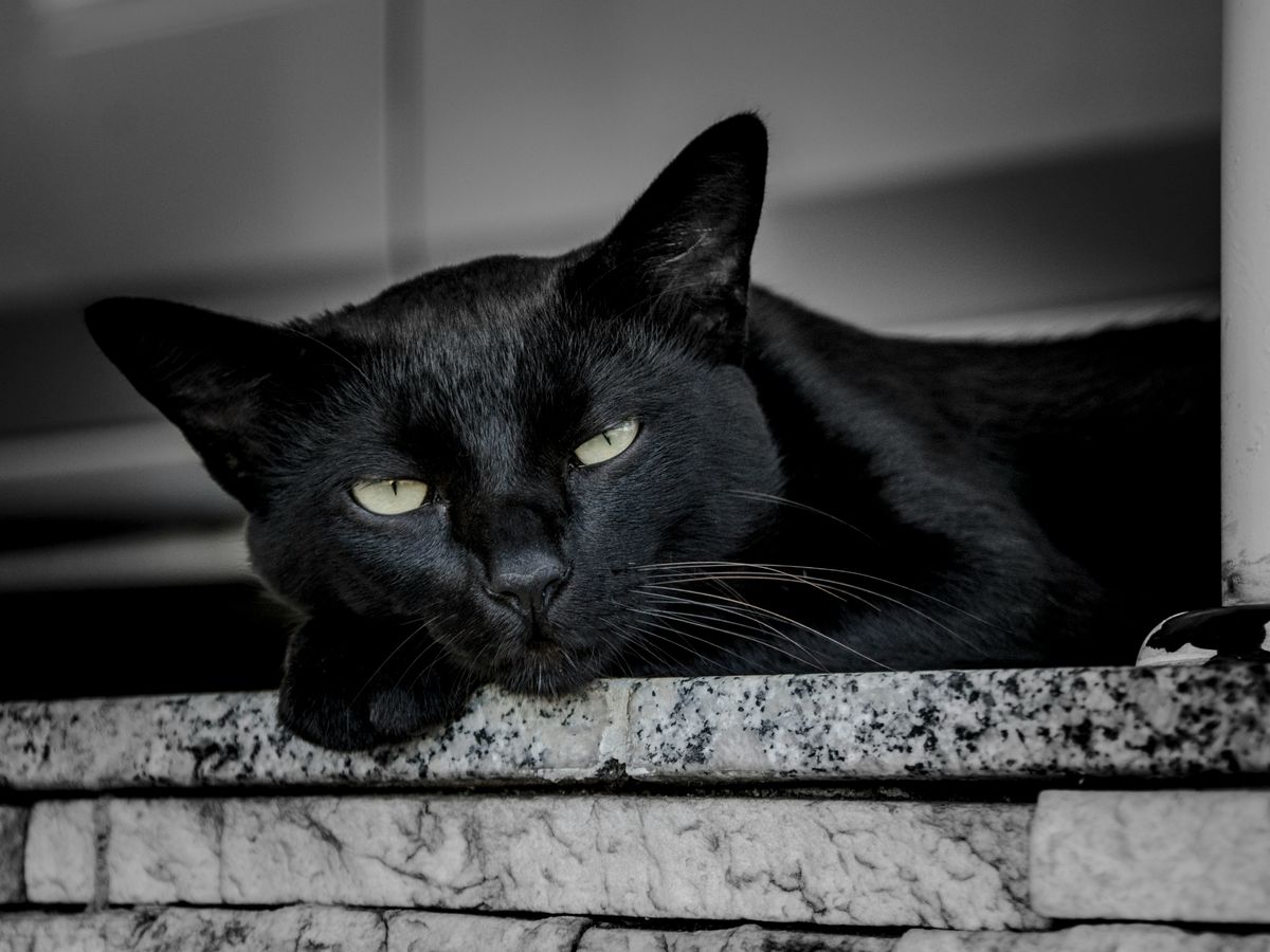 Unsplash/Antonino Visalli