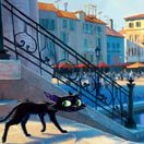 gatto