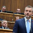 Peter Pellegrini / Robert Fico /