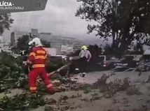 hasic, bratislava, spadnutá strom