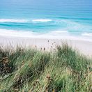 pláž, more, jazero, dovolenka, cestovanie, piesok, tráva,