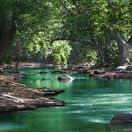 rieka, voda, les, príroda