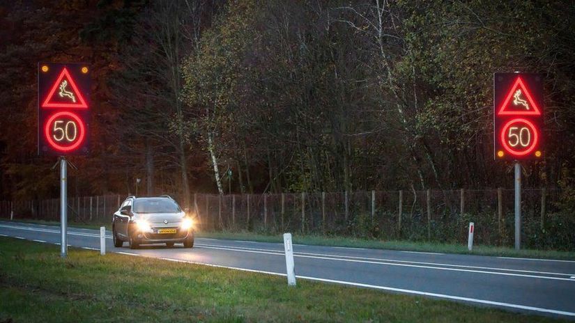 Roadside Animal Detection System Animex