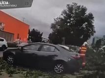 strom, auto, hasici, vietor