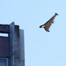 Ukrajina, Rusko, dronový a raketový útok, vojna, Kyjev, zničené budovy, bombardovanie