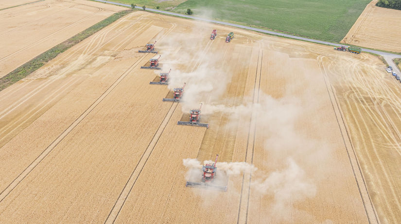 Na leteckej snímke žatva ozimného jačmeňa na...