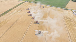 Na leteckej snímke žatva ozimného jačmeňa na...