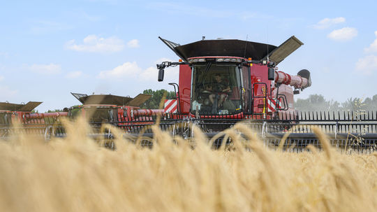Na snímke žatva ozimného jačmeňa na poliach pri...