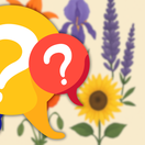 kvíz, záhrada, kvety, NEPOUŽÍVAŤ