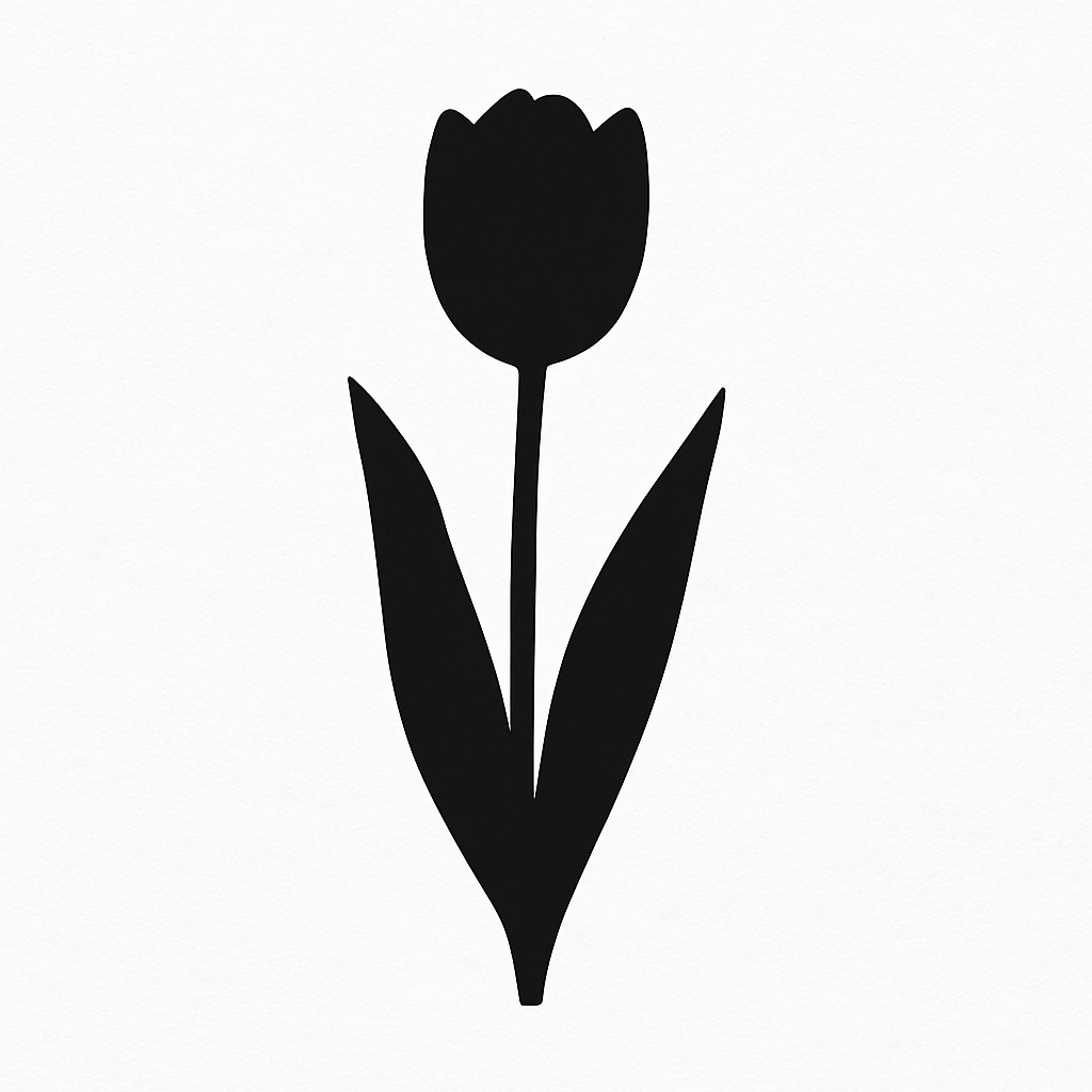 tulipán
