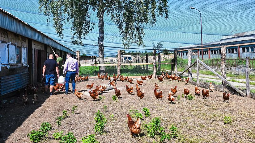Breznianska farma Brezinka má v súčasnosti...