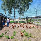 farma, Brezno