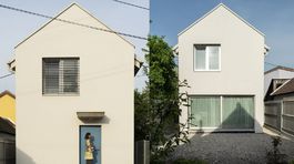 kolaz dom pisatelov david mackovic