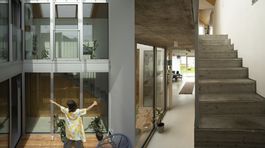 kolaz dom pisatelov david mackovic 