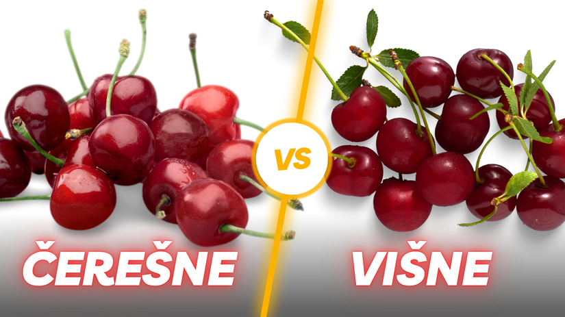 višne, čerešne, NEPOUŽÍVAŤ