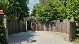 stredoveká dedina, Paseka, mReportér