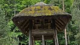 stredoveká dedina, Paseka, mReportér