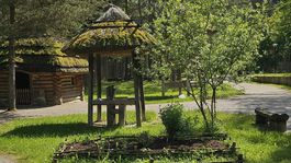 stredoveká dedina, Paseka, mReportér