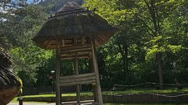 stredoveká dedina, Paseka, mReportér