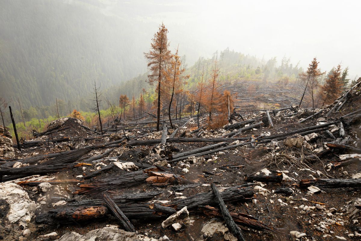 Jalovecká dolina, TANAP, požiar