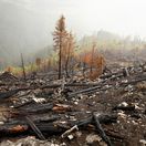 Jalovecká dolina, TANAP, požiar