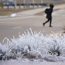 Počasie / Mráz / Zima / Chlad / Námraza / Snow / Cold / Intersection /